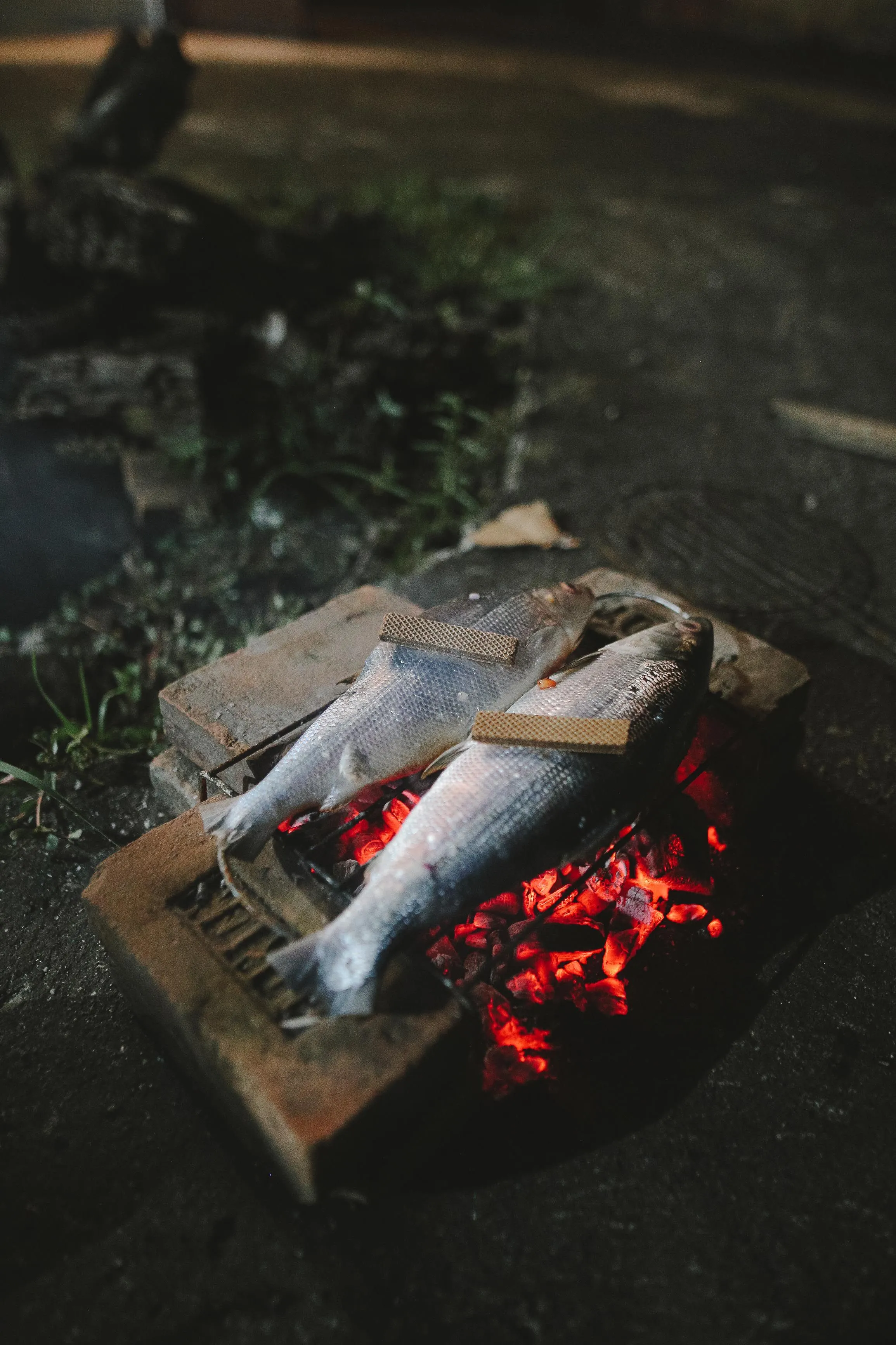 Pescado entero asándose sobre brasa de carbón